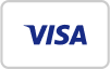 visa pay icon